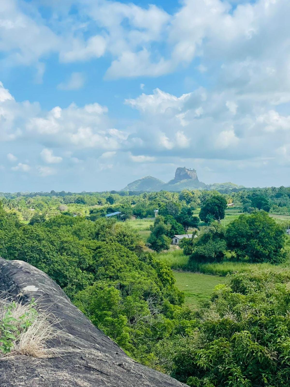 Birdwing Sigiriya Hotel Bagian luar foto