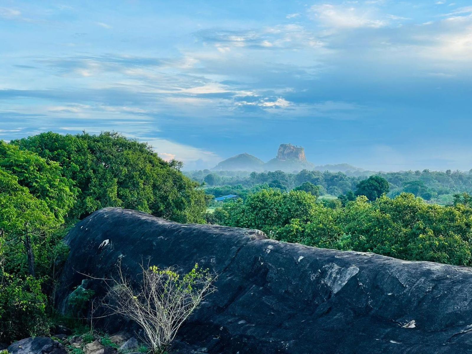 Birdwing Sigiriya Hotel Bagian luar foto